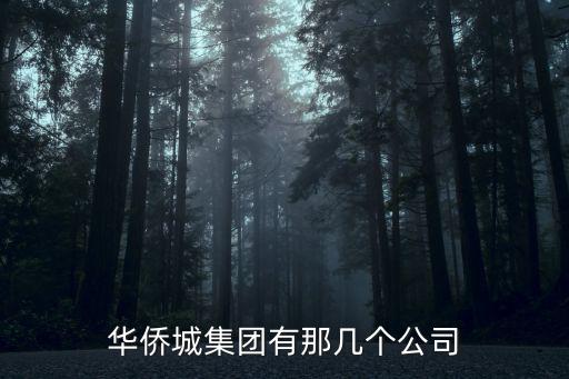 華僑城集團有那幾個公司