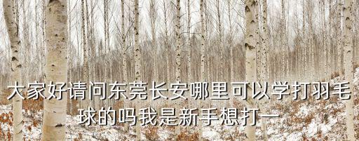 東莞容德金地幼兒園，東莞市容正計算機有限公司