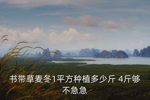 上海市綠化種植麥冬計(jì)算標(biāo)準(zhǔn)，麥冬草一噸能種多少平方米