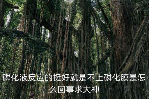 磷化液反應的挺好就是不上磷化膜是怎么回事求大神