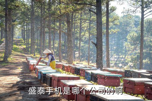 盛泰手機(jī)是哪個(gè)公司的啊