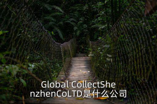深圳安聯環球貨運有限公司，Global CollectShenzhenCoLTD是什么公司
