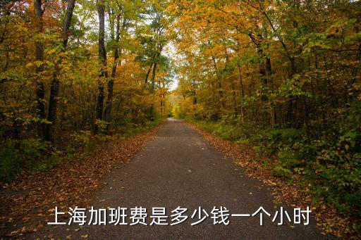 上海加班費是多少錢一個小時