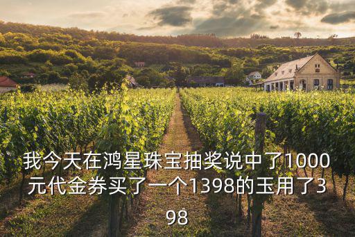 我今天在鴻星珠寶抽獎說中了1000元代金券買了一個1398的玉用了398