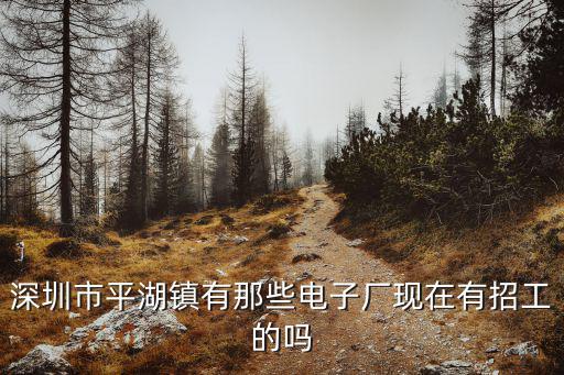 深圳市平湖鎮有那些電子廠現在有招工的嗎
