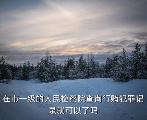 在市一級的人民檢察院查詢行賄犯罪記錄就可以了嗎