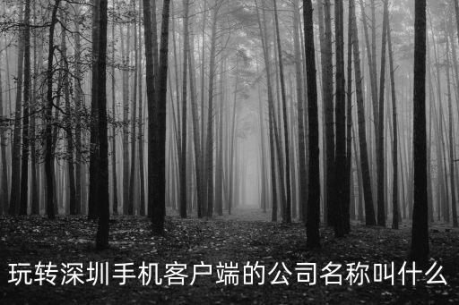 深圳掌夢(mèng)科技，深圳市萬(wàn)恒科技是做什么的是否是真實(shí)的