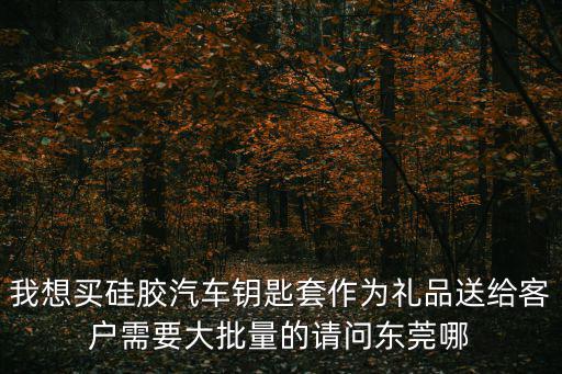 我想買硅膠汽車鑰匙套作為禮品送給客戶需要大批量的請(qǐng)問(wèn)東莞哪