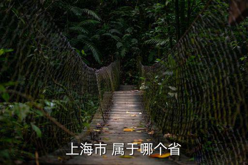 巡視上海市，上海市什么城市