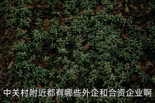 中關(guān)村附近都有哪些外企和合資企業(yè)啊