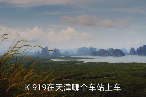天津市919洗浴中心公交車，K 919在天津哪個車站上車