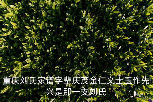 重慶市秀山劉氏分支及家譜，重慶劉氏家譜字輩慶茂金仁文士玉作先興是那一支劉氏