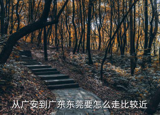 從廣安到廣東東莞要怎么走比較近