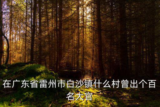 在廣東省雷州市白沙鎮(zhèn)什么村曾出個百名大官