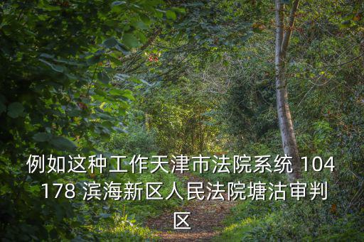 天津市濱海新區大沽法庭，例如這種工作天津市法院系統 104 178 濱海新區人民法院塘沽審判區