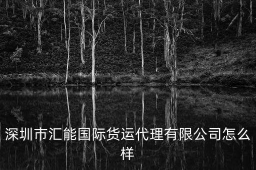 深圳市匯能國(guó)際貨運(yùn)代理有限公司怎么樣