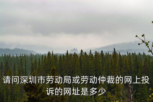 請問深圳市勞動局或勞動仲裁的網上投訴的網址是多少