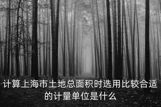 計算上海市土地總面積時選用比較合適的計量單位是什么