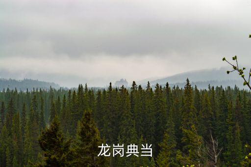 龍崗典當