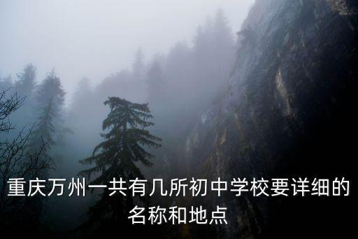 重慶萬州一共有幾所初中學校要詳細的名稱和地點