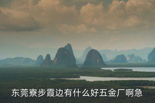 東莞寮步霞邊有什么好五金廠啊急