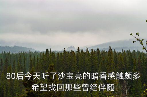 80后再一次來東莞的感悟，80后今天聽了沙寶亮的暗香感觸頗多希望找回那些曾經伴隨