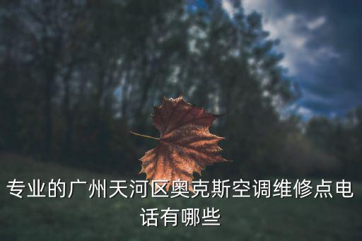 專業的廣州天河區奧克斯空調維修點電話有哪些