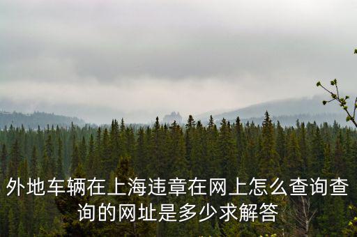 外地車輛在上海違章在網(wǎng)上怎么查詢查詢的網(wǎng)址是多少求解答