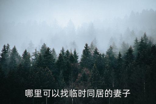 哪里可以找臨時同居的妻子