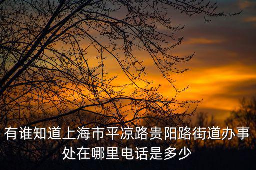 有誰知道上海市平涼路貴陽路街道辦事處在哪里電話是多少