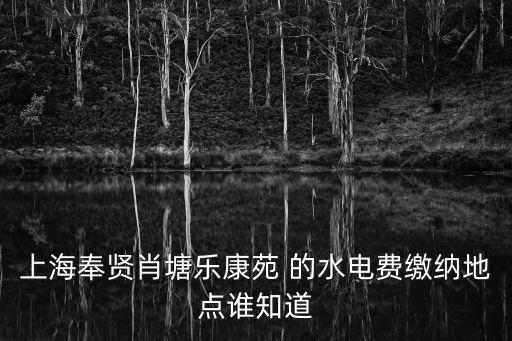 上海奉賢肖塘樂康苑 的水電費繳納地點誰知道