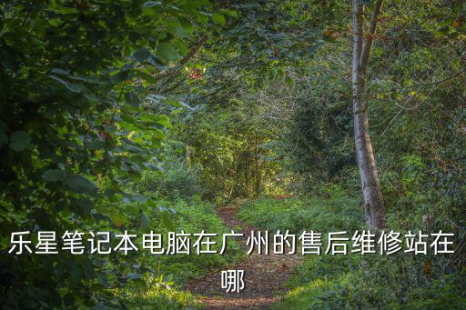 樂星筆記本電腦在廣州的售后維修站在哪