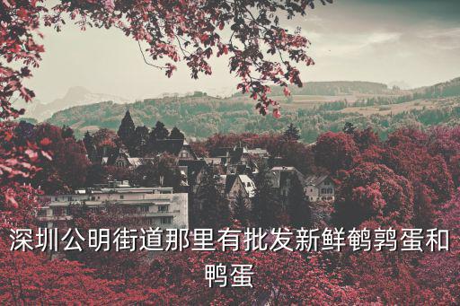 深圳公明街道那里有批發新鮮鵪鶉蛋和鴨蛋