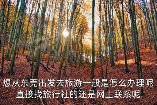 想從東莞出發(fā)去旅游一般是怎么辦理呢直接找旅行社的還是網(wǎng)上聯(lián)系呢