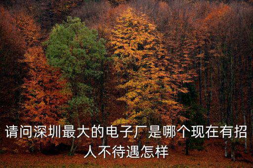 請問深圳最大的電子廠是哪個現(xiàn)在有招人不待遇怎樣