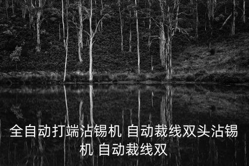 東莞晟軒自動化科技有限公司，東莞市那個自動化公司技術比較好