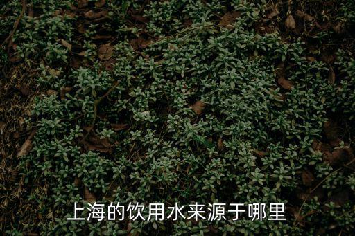上海市用水來源，上海的飲用水來源于哪里