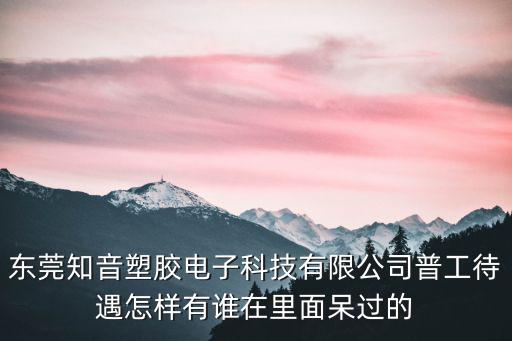 東莞知音塑膠電子科技有限公司普工待遇怎樣有誰在里面呆過的