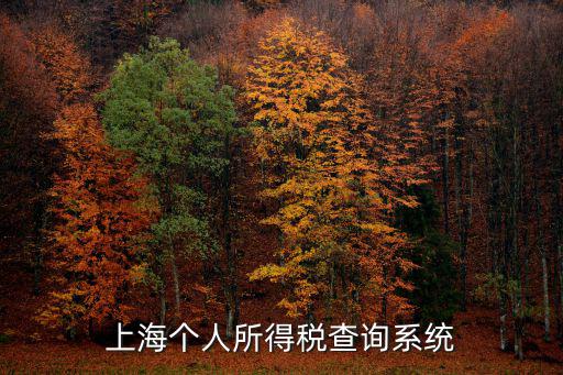 上海個人所得稅查詢系統