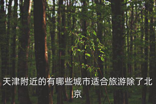 天津市旁邊有哪些省，天津周邊相鄰的省市有哪些