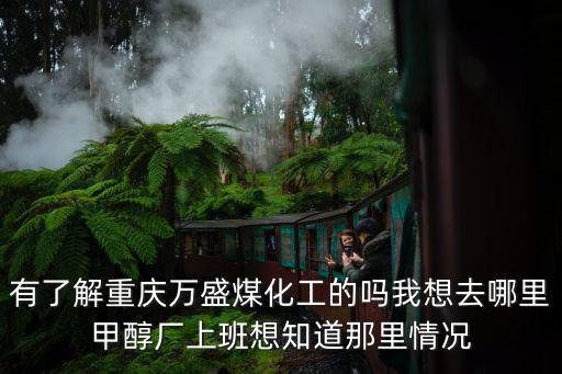 有了解重慶萬盛煤化工的嗎我想去哪里甲醇廠上班想知道那里情況