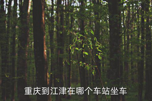 重慶市江津區公交站有那些，重慶到江津在哪個車站坐車