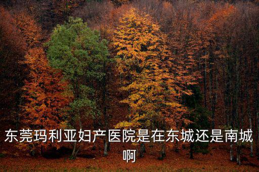 東莞瑪利亞婦產醫院是在東城還是南城啊