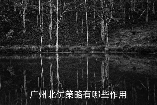 廣州北優策略有哪些作用