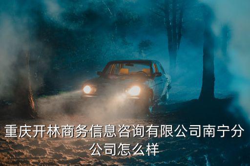 重慶開林商務信息咨詢有限公司南寧分公司怎么樣