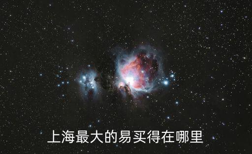 上海最大的易買得在哪里