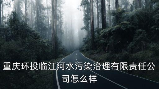 重慶環投臨江河水污染治理有限責任公司怎么樣