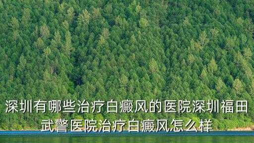 深圳有哪些治療白癜風的醫院深圳福田武警醫院治療白癜風怎么樣