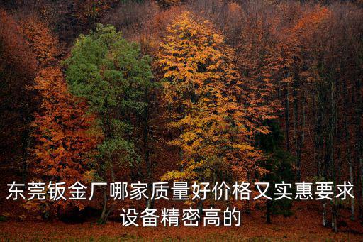 東莞鈑金廠哪家質量好價格又實惠要求設備精密高的
