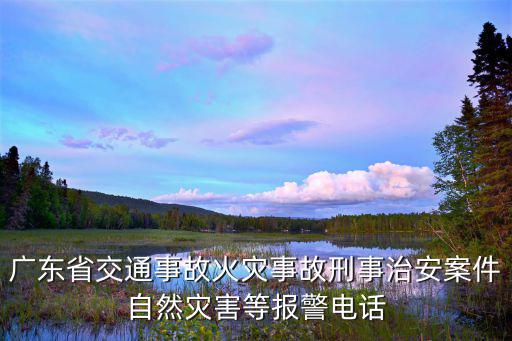 廣東省交通事故火災(zāi)事故刑事治安案件自然災(zāi)害等報警電話